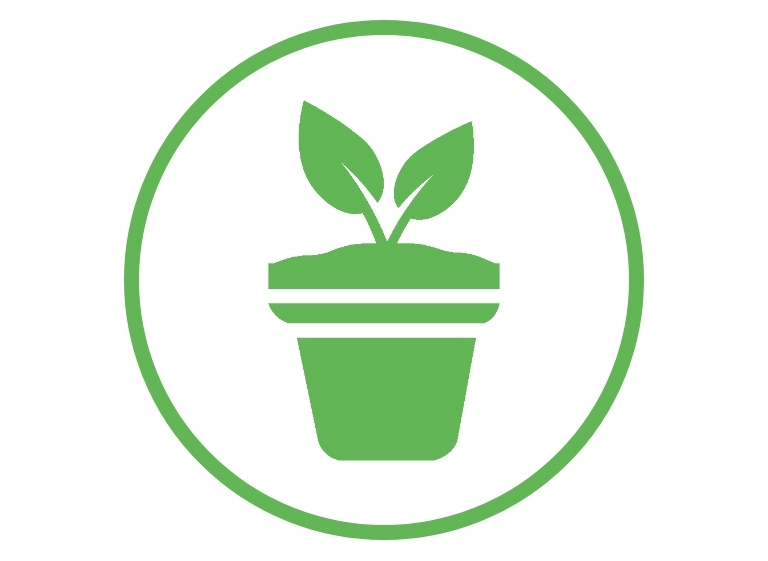 ikona roślina w&nbsp;doniczce